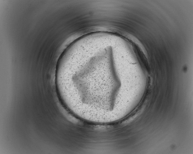 X0000100390938200807031946