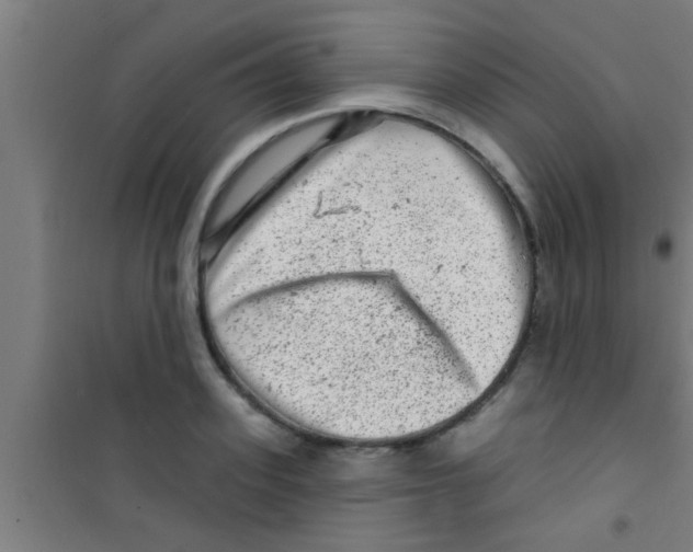 X0000100390939200807031946