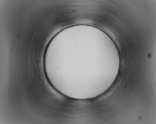 X0000100390947200807031946