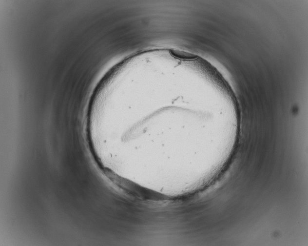 X0000100390949200807031946