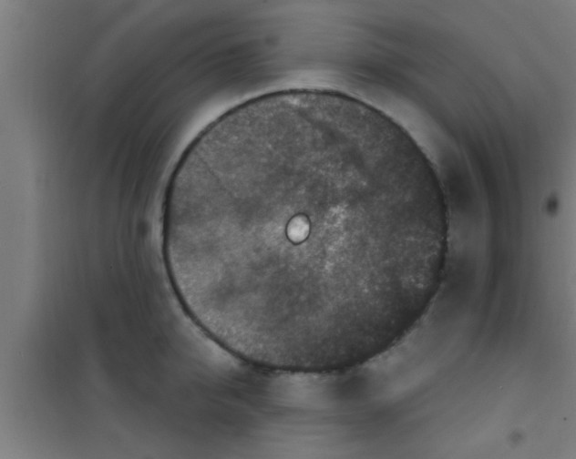 X0000100390950200807031946