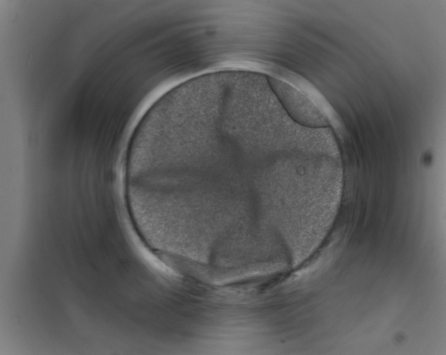 X0000100390955200807031946