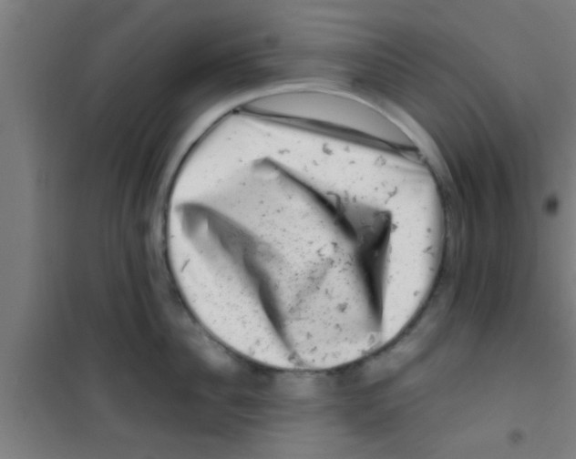 X0000100390956200807031946