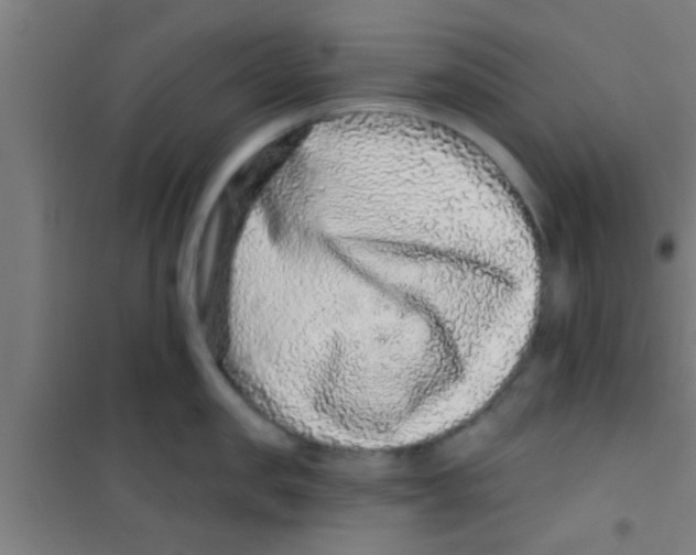 X0000100390957200807031946