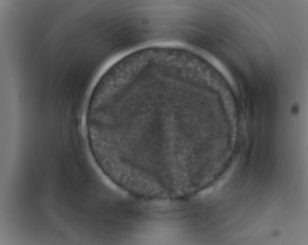 X0000100390959200807031946