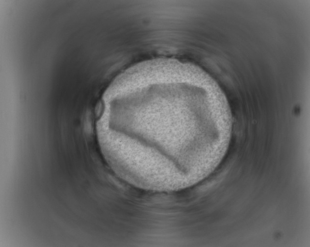 X0000100390962200807031946