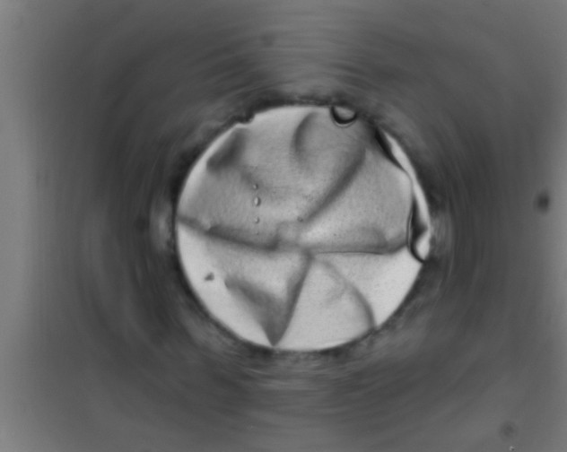 X0000100390963200807031946