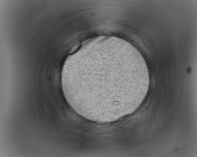 X0000100390964200807031946