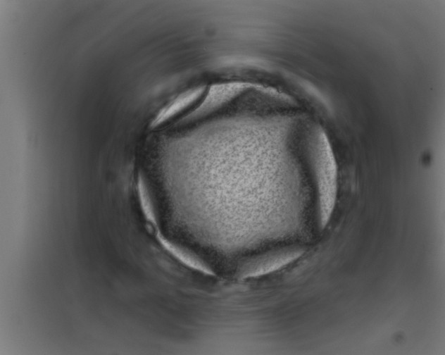 X0000100390965200807031945