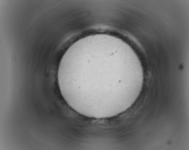 X0000100390967200807031945