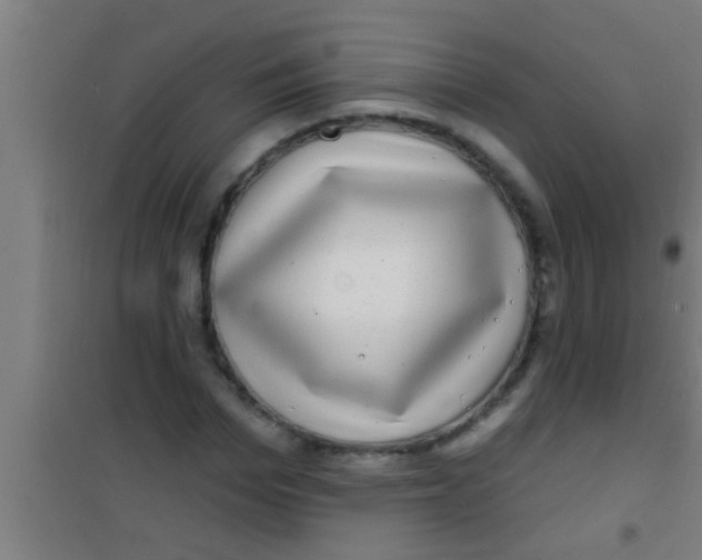 X0000100390969200807031945