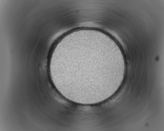 X0000100390971200807031945