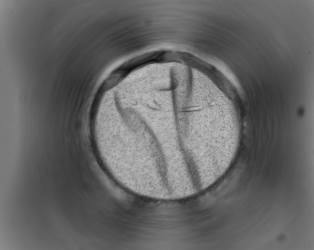 X0000100390972200807031945