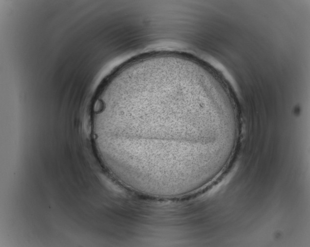 X0000100390973200807031945