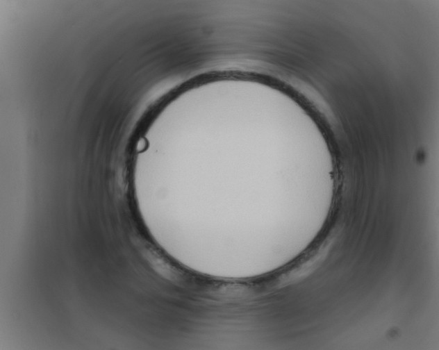 X0000100390974200807031945