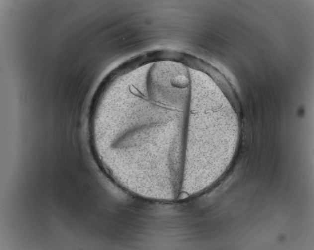 X0000100390976200807031945