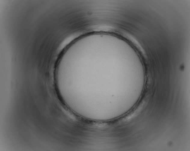 X0000100390978200807031945