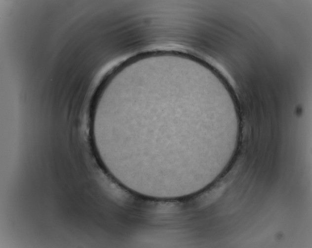 X0000100390979200807031945