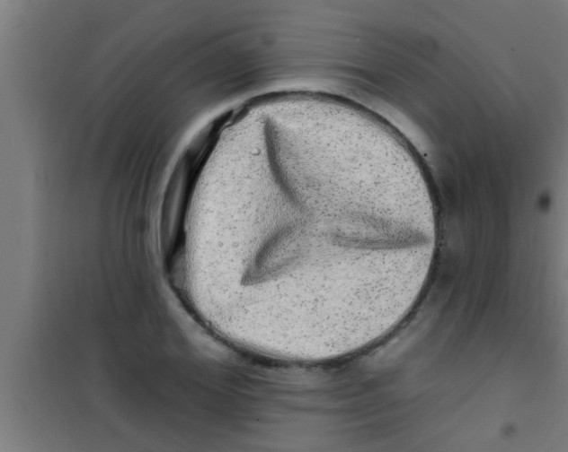 X0000100390980200807031945