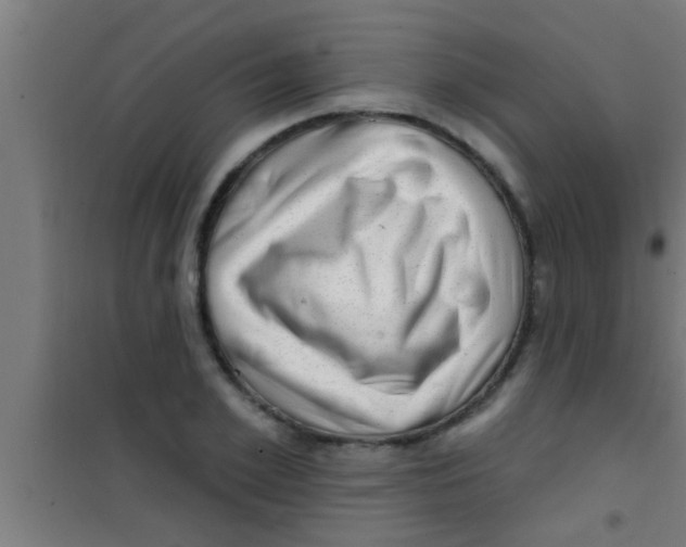 X0000100390981200807031945