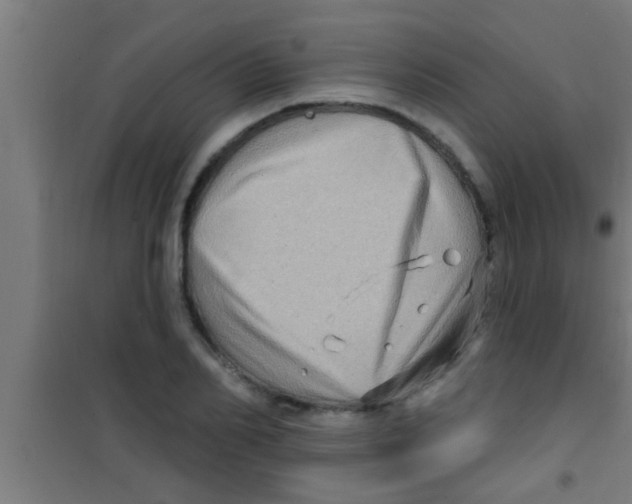 X0000100390982200807031945