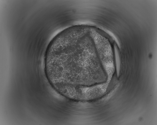 X0000100390983200807031945