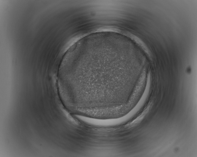 X0000100390985200807031945