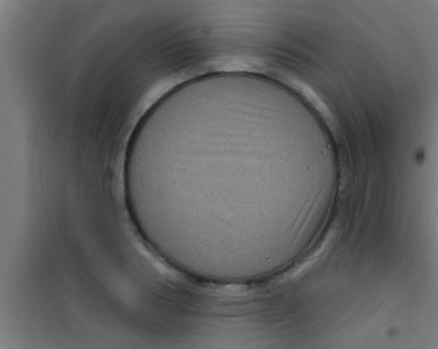 X0000100390986200807031945