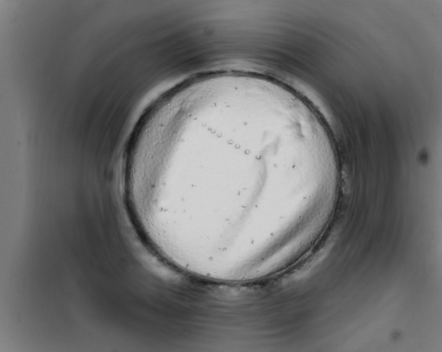 X0000100390987200807031945