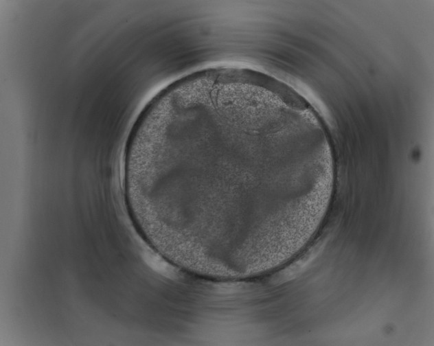 X0000100390988200807031945