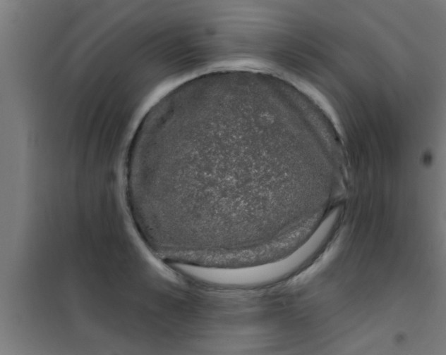 X0000100390989200807031945