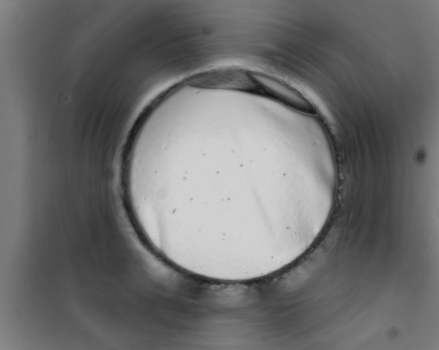 X0000100390991200807031945