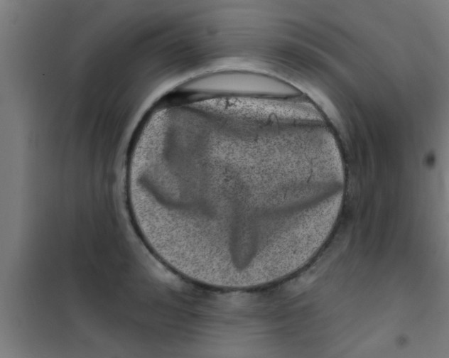 X0000100390992200807031945