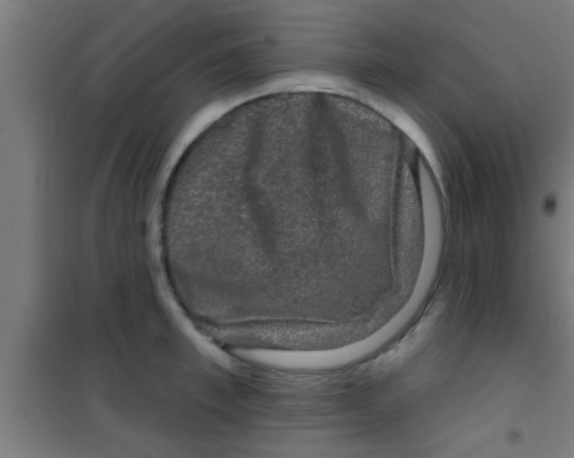 X0000100390997200807031945