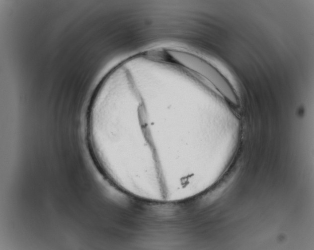 X0000100390999200807031945