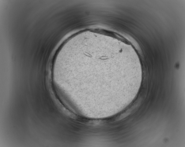 X0000100391000200807031945