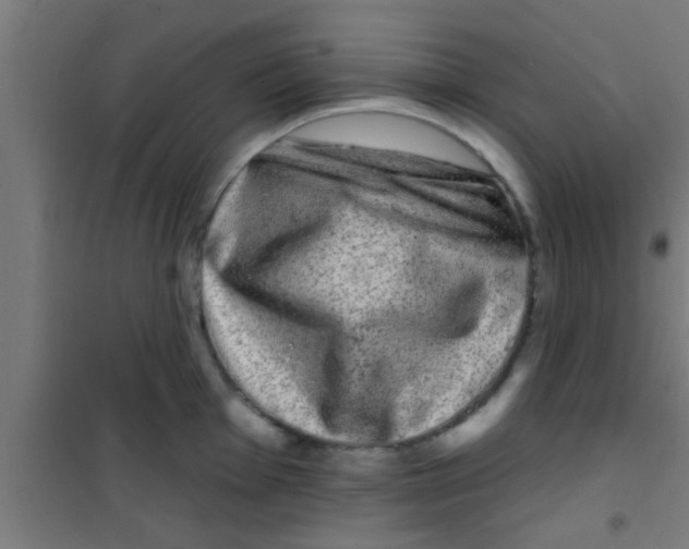 X0000100391001200807031945