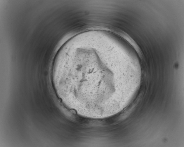 X0000100391002200807031945