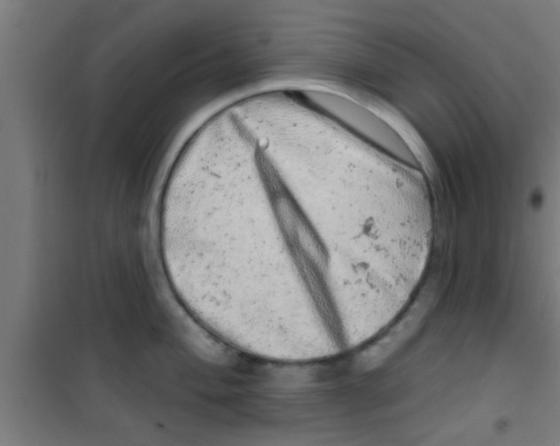 X0000100391004200807031945