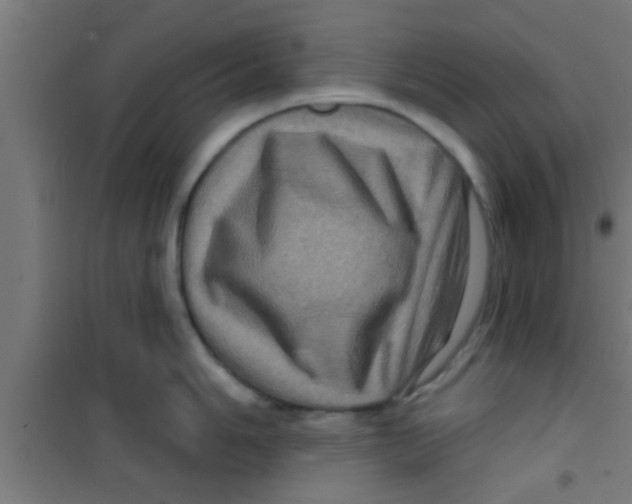 X0000100391006200807031945