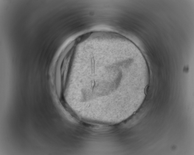 X0000100391008200807031945