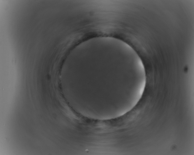 X0000100391009200807031944