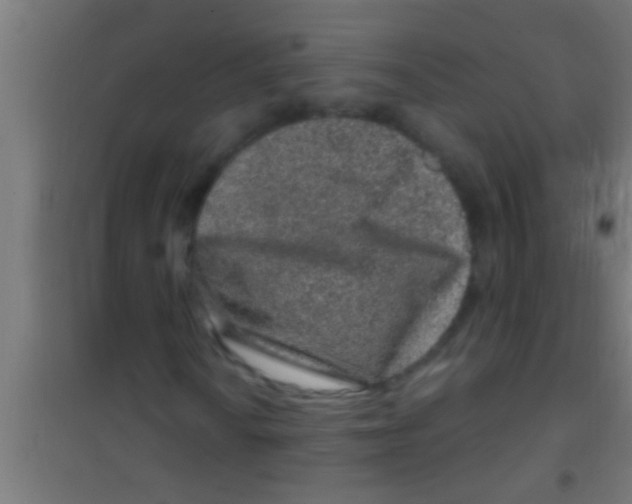 X0000100391010200807031944