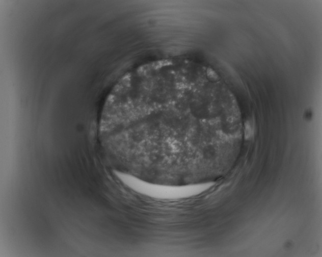 X0000100391011200807031944