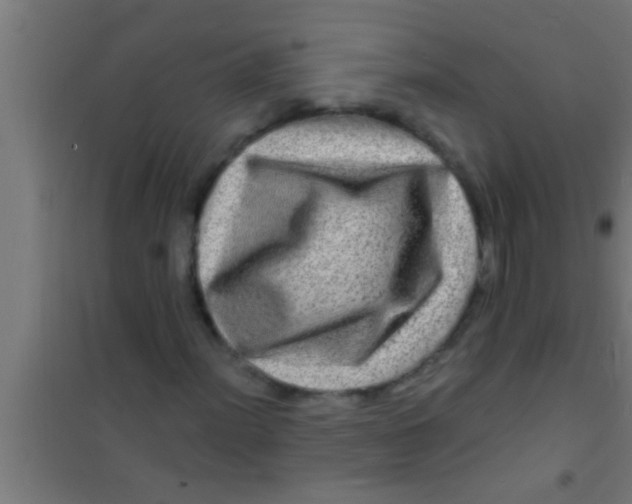 X0000100391012200807031944