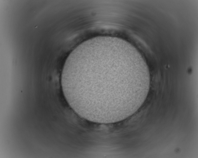 X0000100391013200807031944