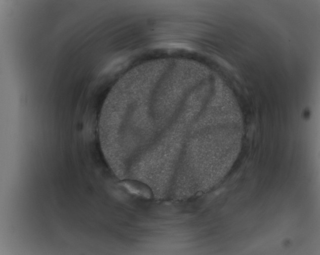 X0000100391014200807031944