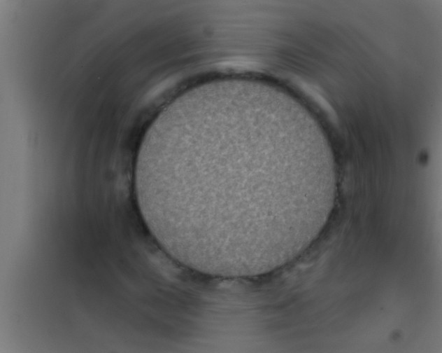 X0000100391015200807031944