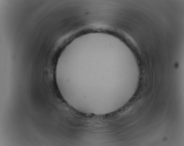 X0000100391016200807031944