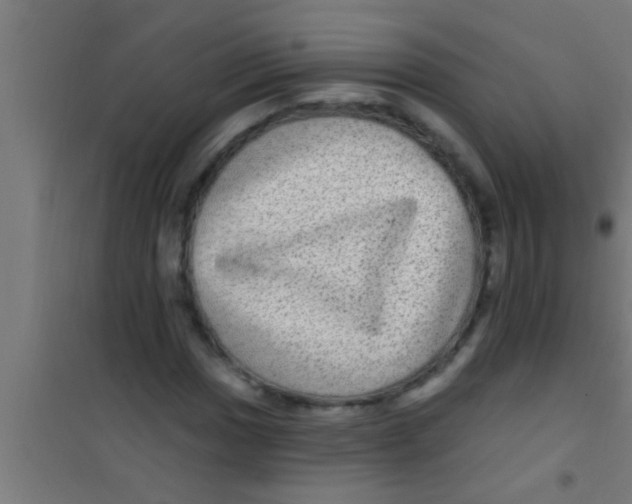 X0000100391017200807031944